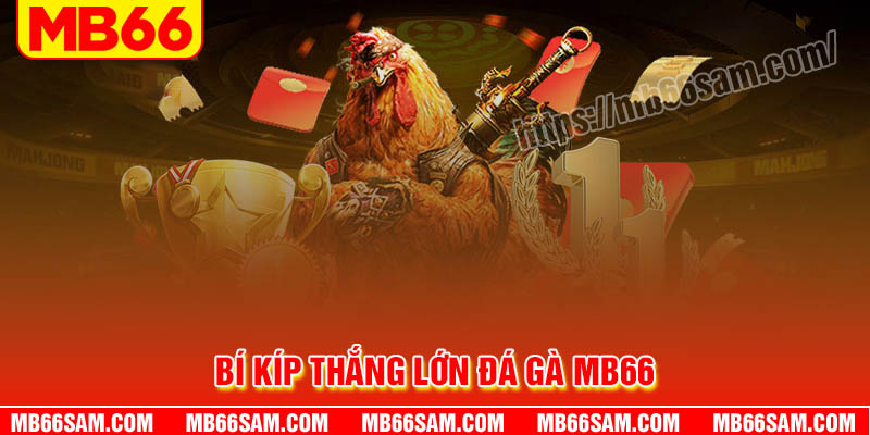 Bí kíp thắng lớn sân chơi Đá gà MB66