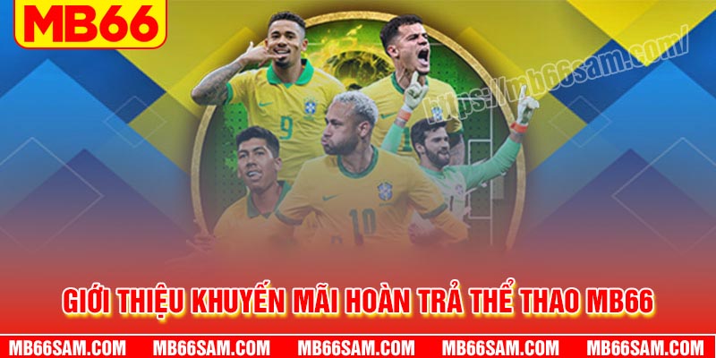 Đôi nét về khuyến mãi hoàn trả Thể thao MB66