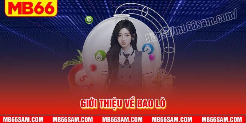 Giới thiệu về hình thức bao lô