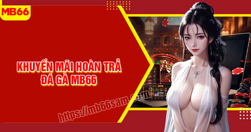 khuyến mãi hoàn trả đá gà