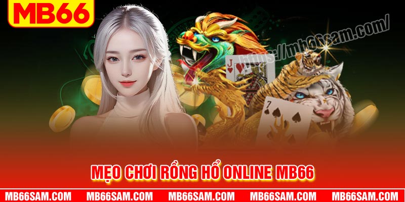 Mẹo chơi Rồng Hổ Online hiệu quả dễ thắng