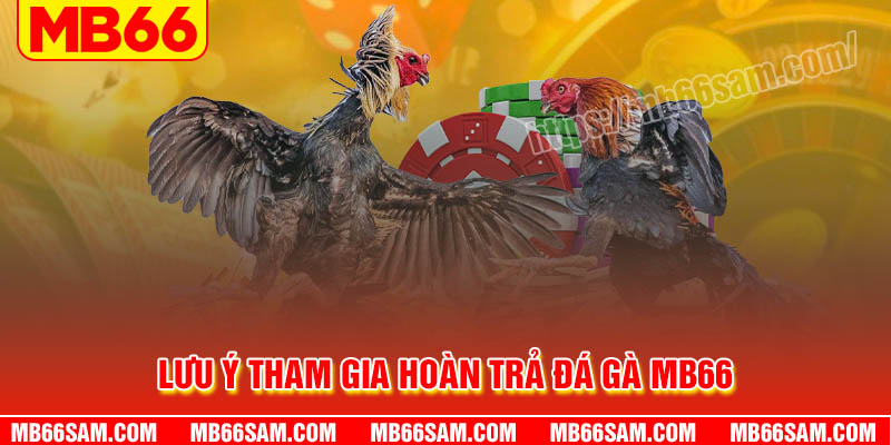 Những lưu ý khi tham gia hoàn trả Đá gà MB66
