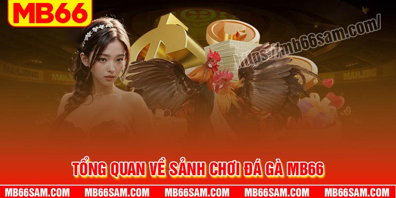 Tổng quan về sảnh chơi Đá gà MB66